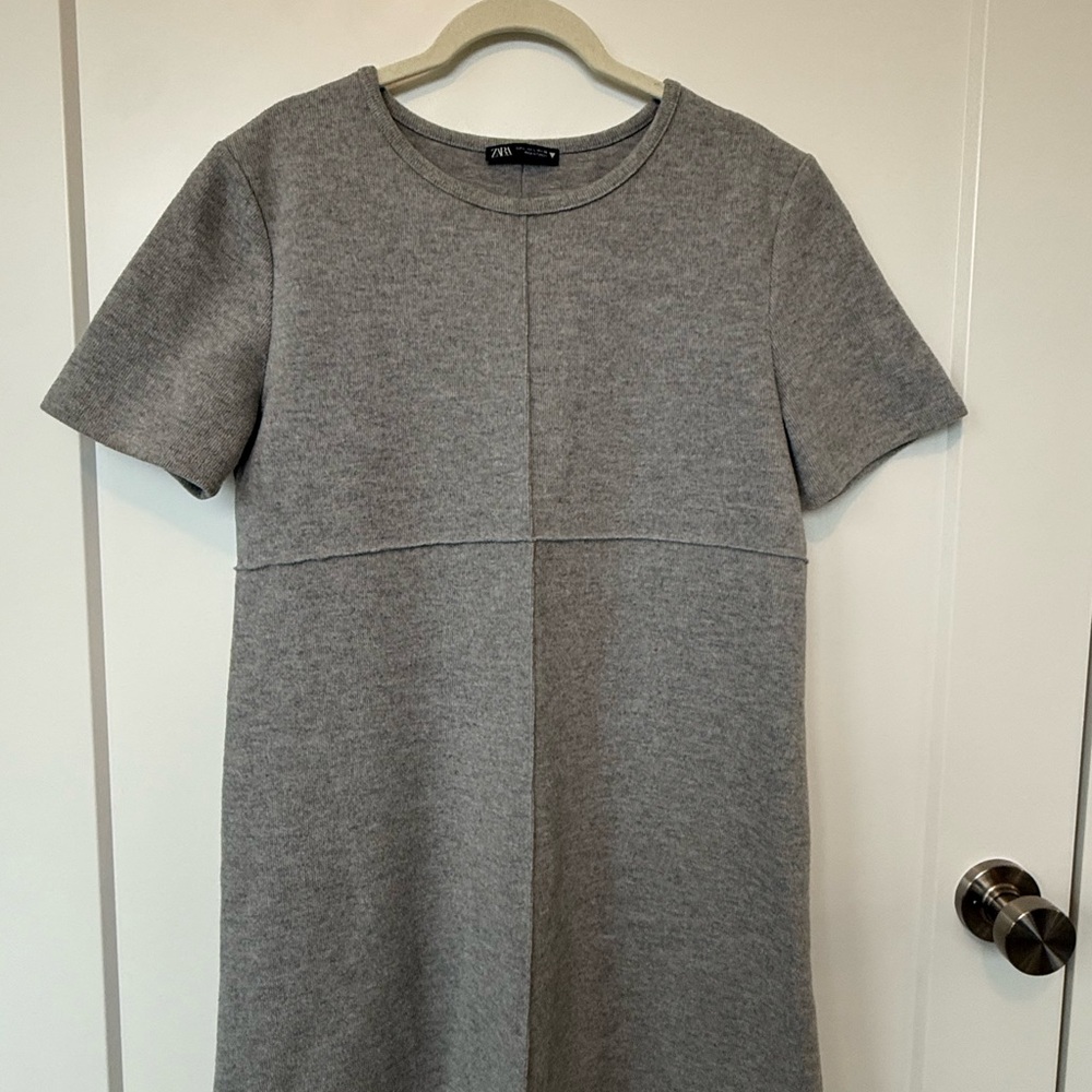 Zara Heather Gray Mini Dress